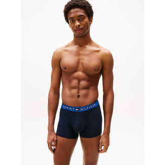 Трусы Tommy Hilfiger